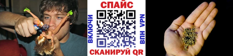 где продают   shop формула  БУТИРАТ буратино  Ефремов 