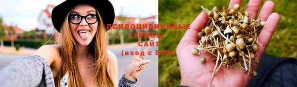 прущая мука Абаза
