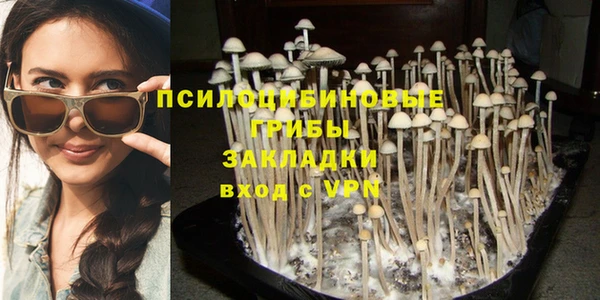 амф Абдулино