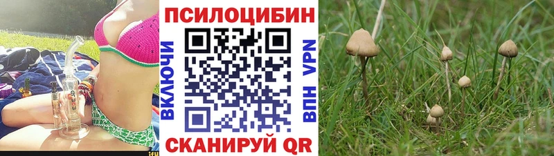 Галлюциногенные грибы ЛСД  Ефремов 